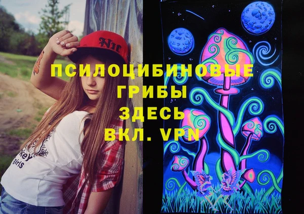 таблы Алексин