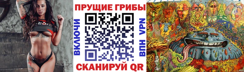 ссылка на мегу онион  цена   Анива  Псилоцибиновые грибы GOLDEN TEACHER 
